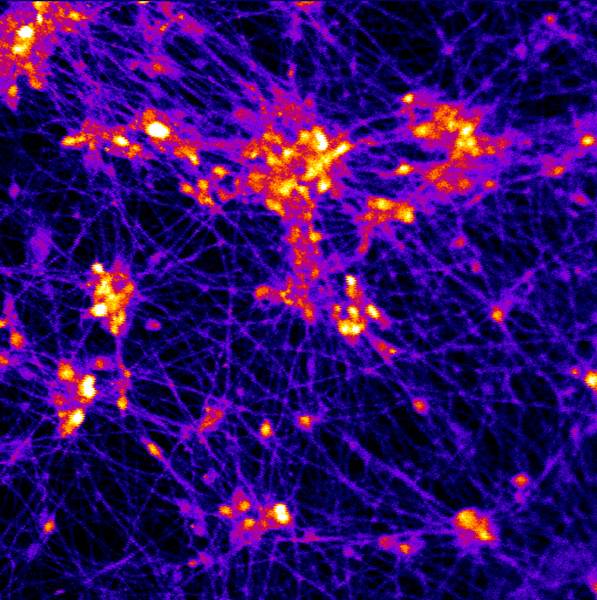 Neurons firing