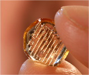 Image of microneedle patch the size of a fingertip used to deliver influenza vaccines. Photo Credit: Dr. Mark Prausnitz, Georgia Institute of Technology