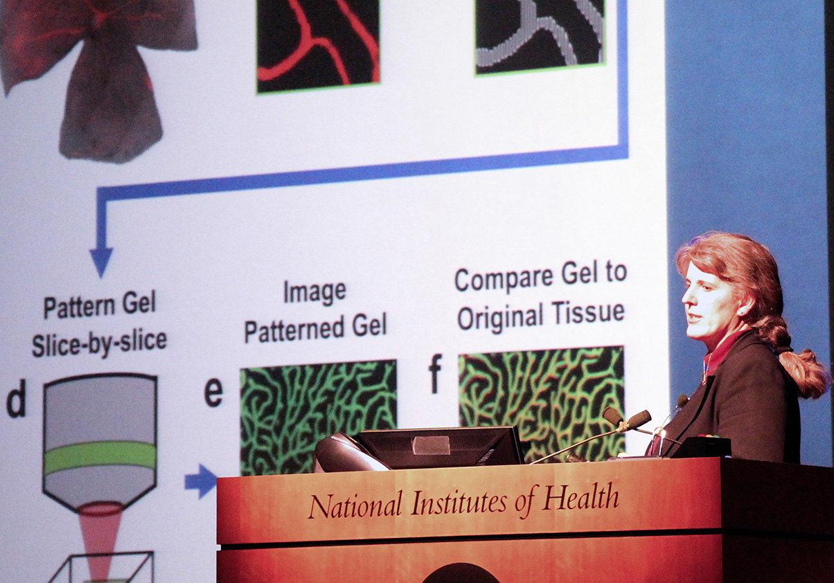 Jennifer West delivers WALS talk