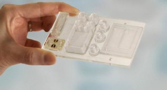microfluidic testing chip for detection of circulating plasma cells