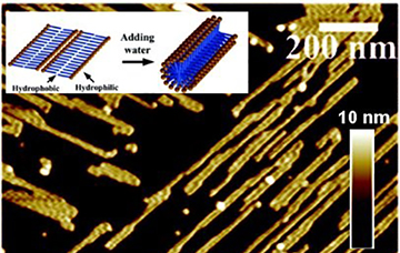 LCIMB Nanoinstrumentation and Force spectroscopy 360x228.jpg