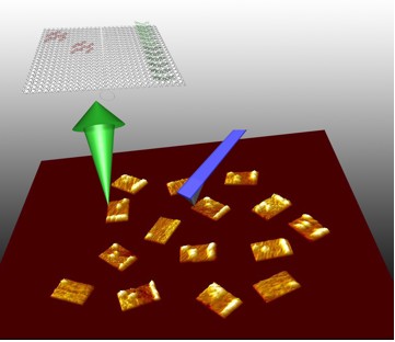 Arriba: Una ampliación de una teja origami rectangular de ADN se muestra con un código de barras (en rojo) hecho de anillos salientes de ADN en la esquina superior izquierda y una línea de salientes de ADN de hebra individual llamadas sondas (en verde) colocadas sobre el borde derecho. Abajo: Un cantilever (en morado) de microscopio de fuerza atómica (AFM por sus siglas en inglés) escanea la superficie de las tejas de ADN. Cuando un gen objetivo de ARN se une a la sonda, el cantilever de AFM detecta rápidamente el dúplex rígido ADN-ARN que se forma (vistas como una línea brillante).