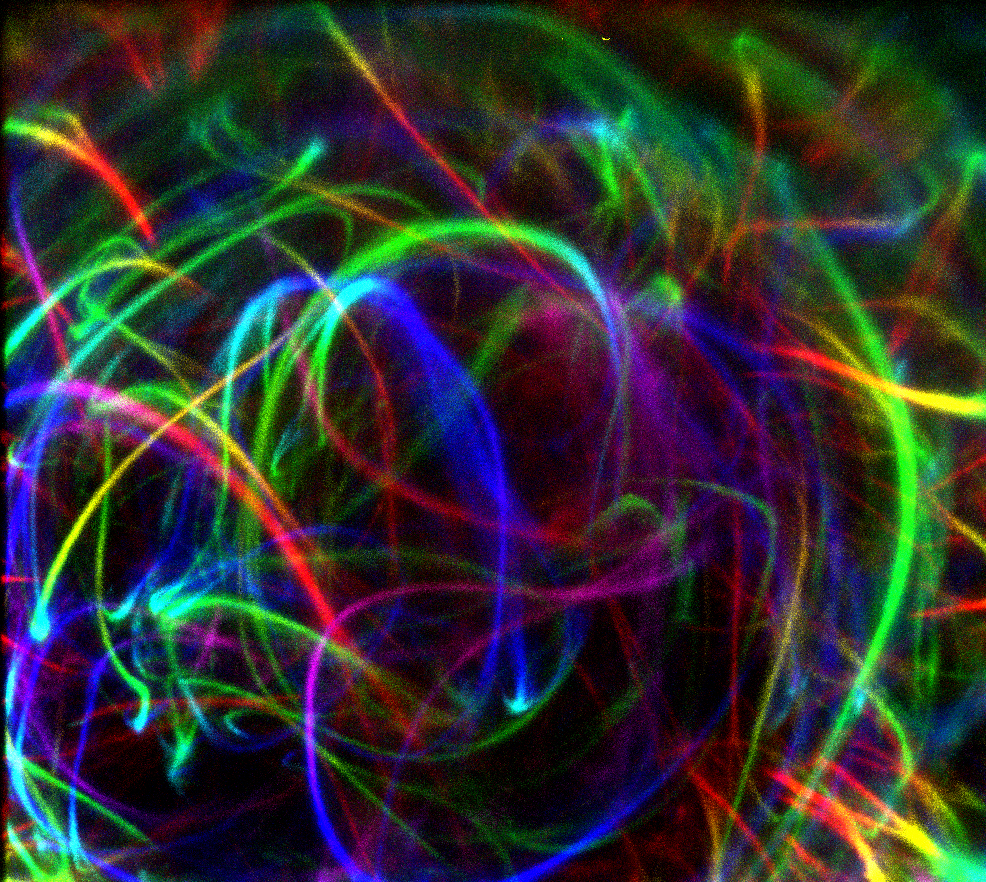 An image of curved colored lines.