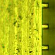 MICROFABRICATION-large.png