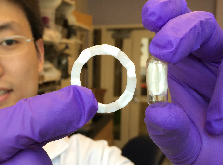 Researcher holds elastic ring and capsule holding compressed ring