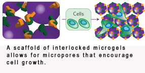 micropourous gel