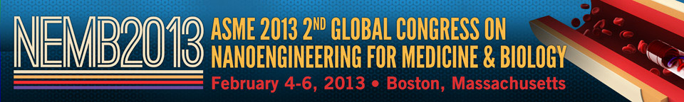 NEMB2013Header.jpg