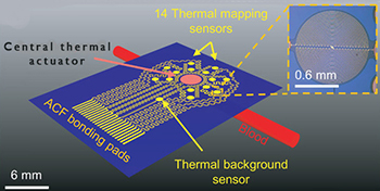 Blood flow sensor schematic