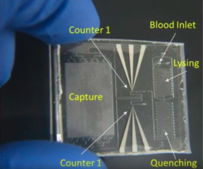 A photo of the disposable chip being held by a blue-gloved hand.