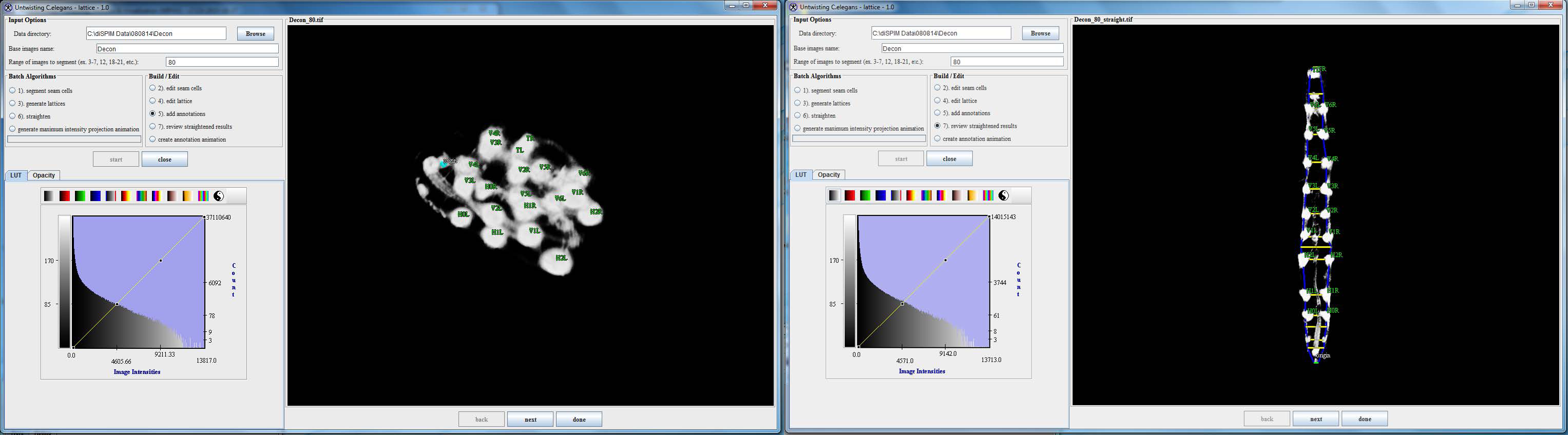 Two images of the computer software with an embryo folded up and untwisted.