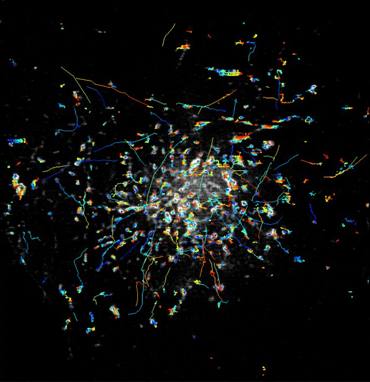 A still grey image with colorful scribbles overlaid indicating movement