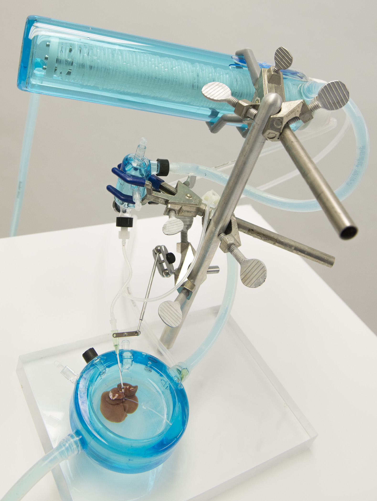 Image of a device with a blue container on top and a small blue dish with a brownish rat liver