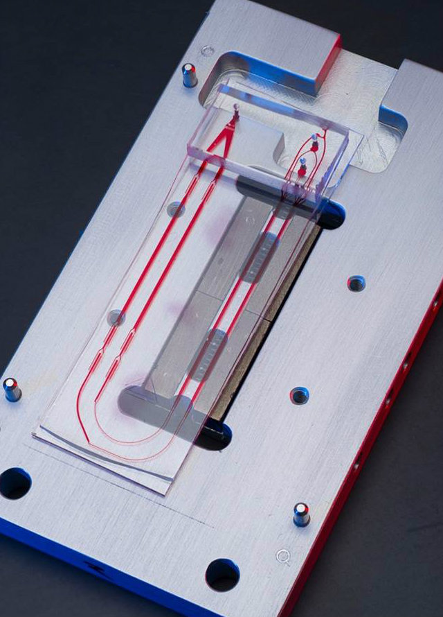 CTCiChip used to separate circulating tumor cells from other blood cells