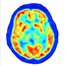 Understanding Medical Scans icon