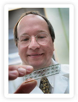 El Dr. David Haake sujeta el chip sensor electroquímico que se utiliza para detectar la bacteria que causa las infecciones urinarias. Crédito: Reed Hutchinson