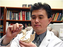 El Dr. Jeremy Mao compara el cóndilo mandibular con tejido artificial (a la izquierda) con el cóndilo de una mandíbula humana, o hueso mandibular inferior. Foto cortesía de la Universidad de Illinois de Chicago.