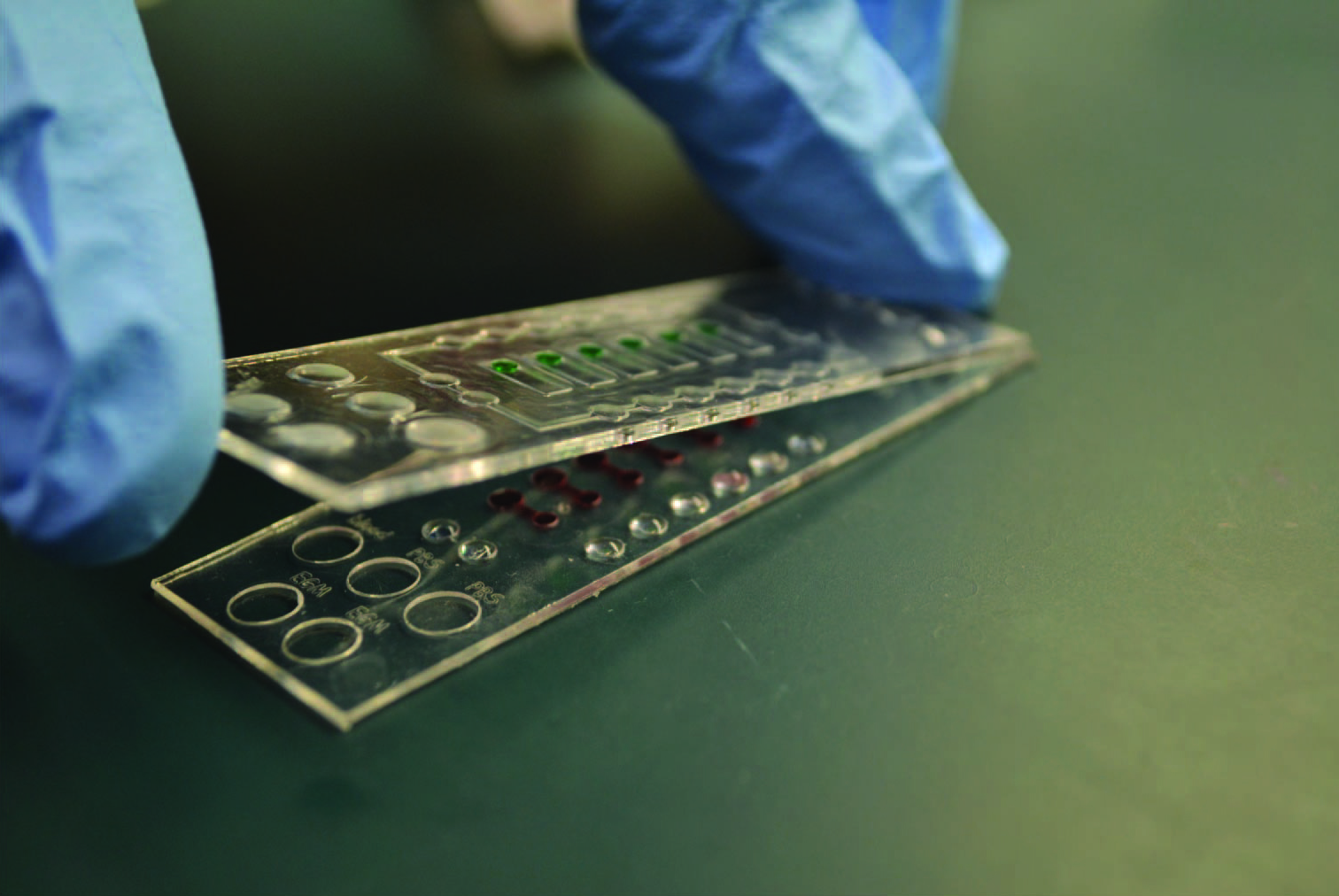 This is a photograph of the microfluidic device used to diagnose asthma. It is the size of a microscope slide.