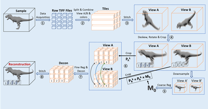 schematic of joint view deconvolution of image