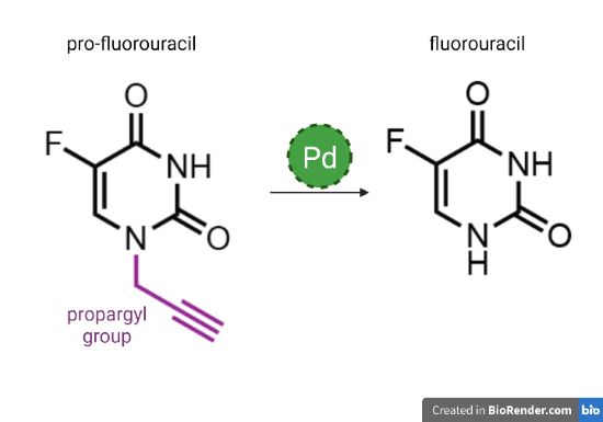 Chemical reaction, which shows palladium removing a propargyl group from pro-fluorouracil