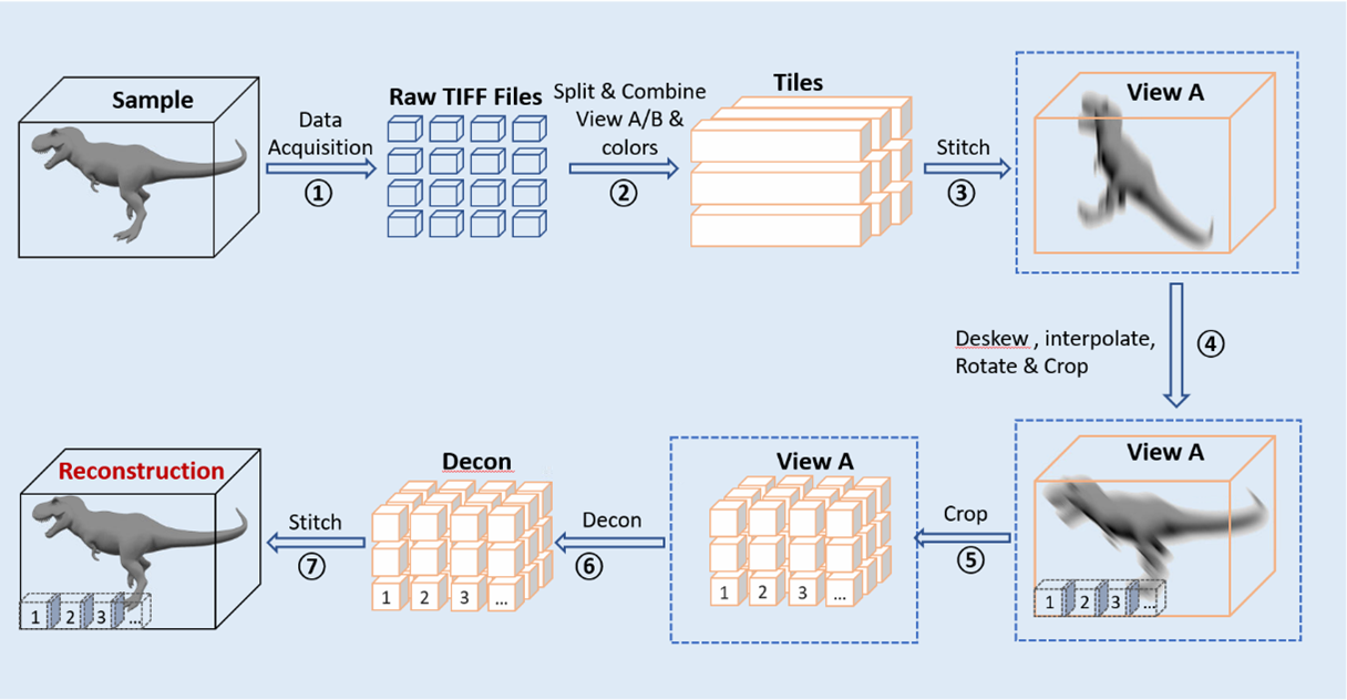 schematic of single view deconvolution of image