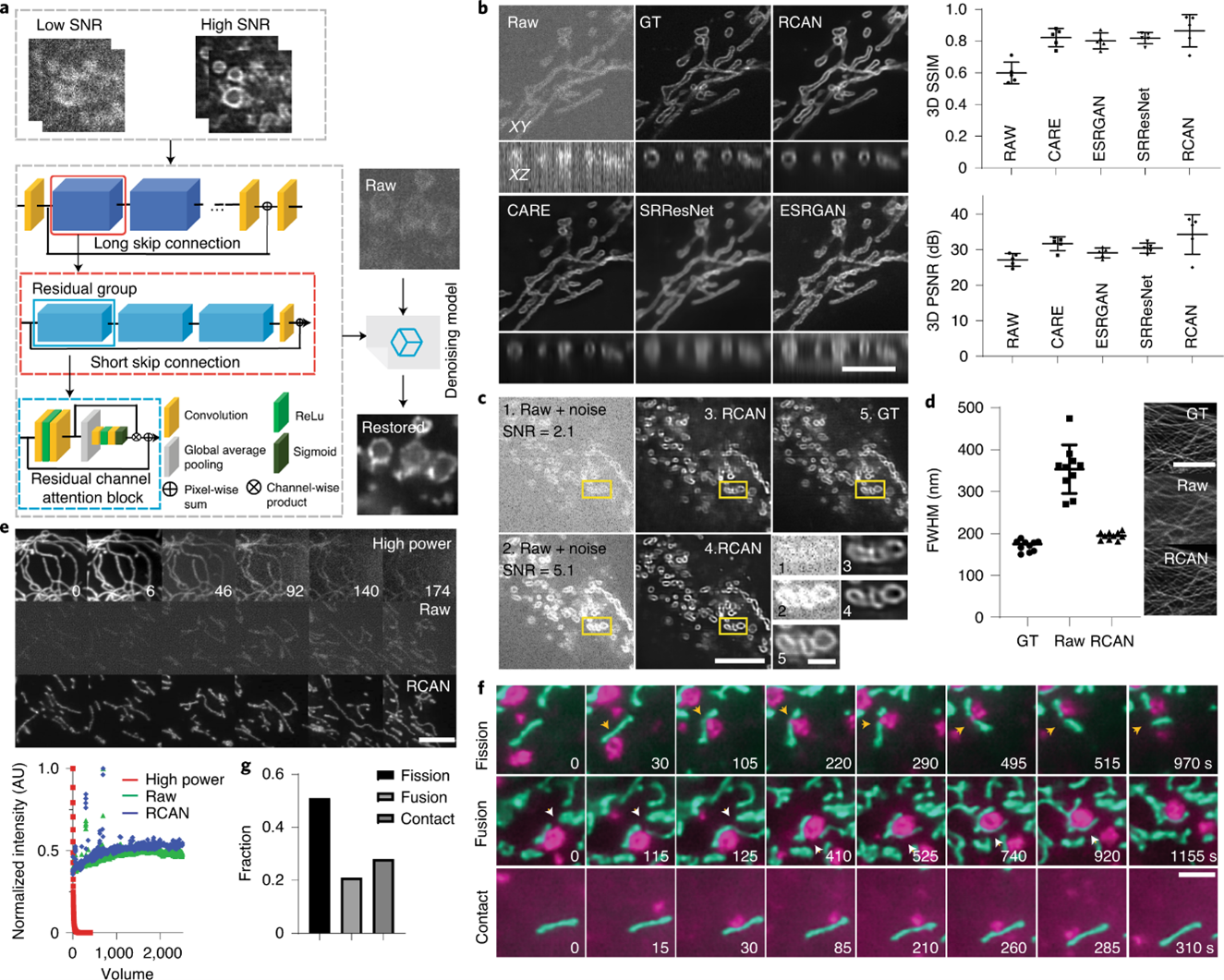 RCAN denoise super-resolution data