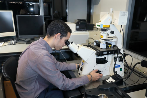 Alex Cartagena Rivera looking through a microscope