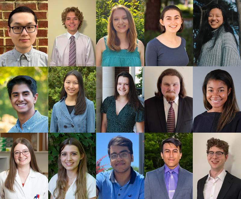 Fifteen photos of the participating interns