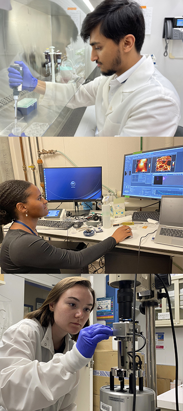 Three photos, the first of a young man using a pipette, the second of a young woman working on a computer, and the third of a young woman using a scientific instrument