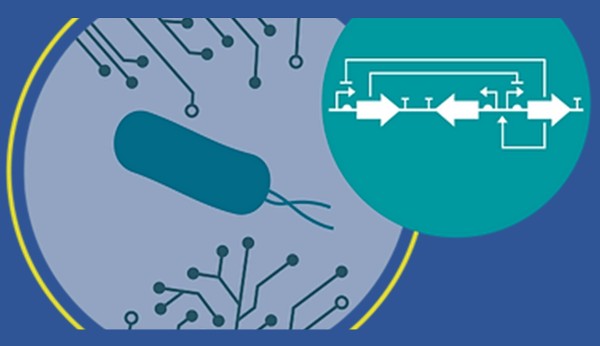 Blue image with a diagram of circuits and a bacteria