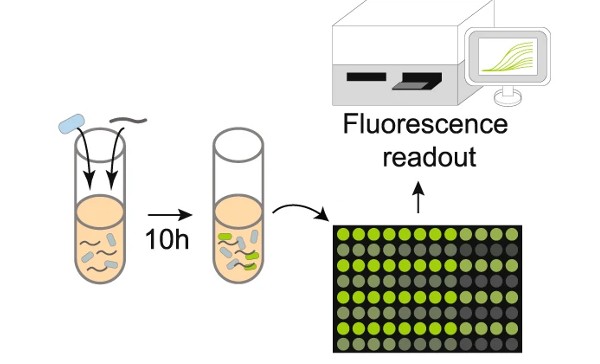 and a series of green dots with varying intensity