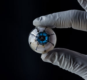 prototype of a bionic eye