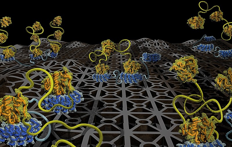 depiction of molecules binding to each other