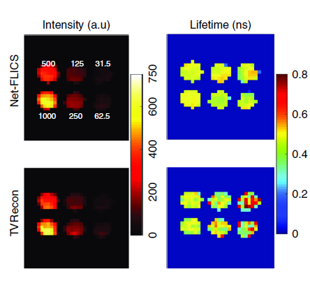 comparison of intensity and lifetime maps between TVRecon and NetFLICS methods