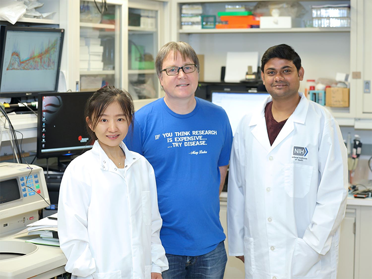 Joy Zhao, Ph.D., Peter Schuck, Ph.D. (Lab PI), Sumit Chaturvedi, Ph.D. Photo credit C. Chang for NIBIB