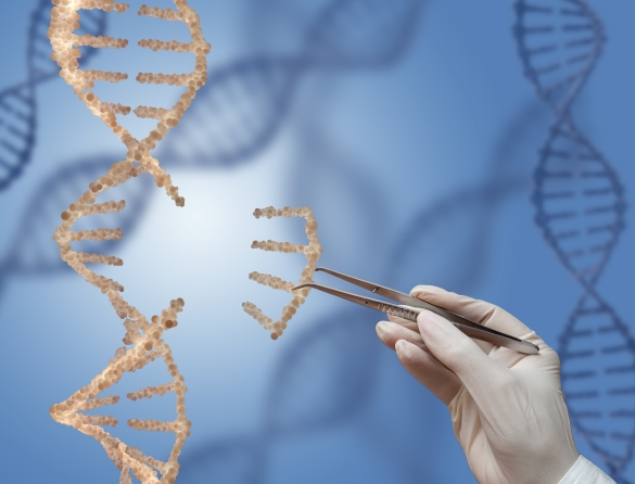 DNA molecule and a hand with tweezers