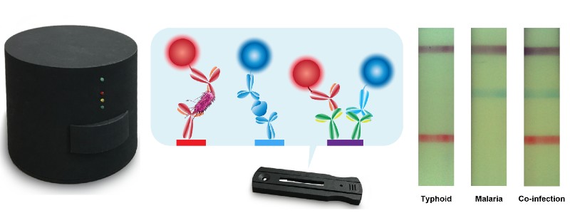 An image of the black device with a graphic of red and blue dots attached to red and blue lines. Next to that is a photo of the test strip with purple, blue, and red lines indicating a co-infection.
