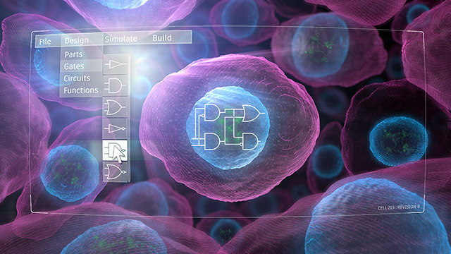 dashboard with parts to build genetic circuits in cells