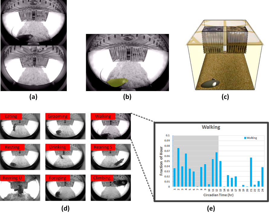 Screenshots of SCORHE video and classification example