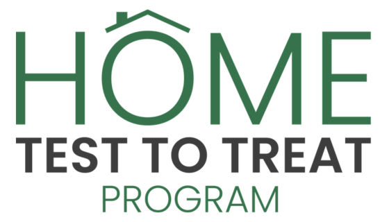 program logo with text Home Test to Treat Program arranged to look like a house with a roof on top of the letter O in home