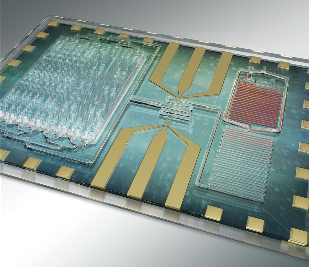 Sepsis Biochip