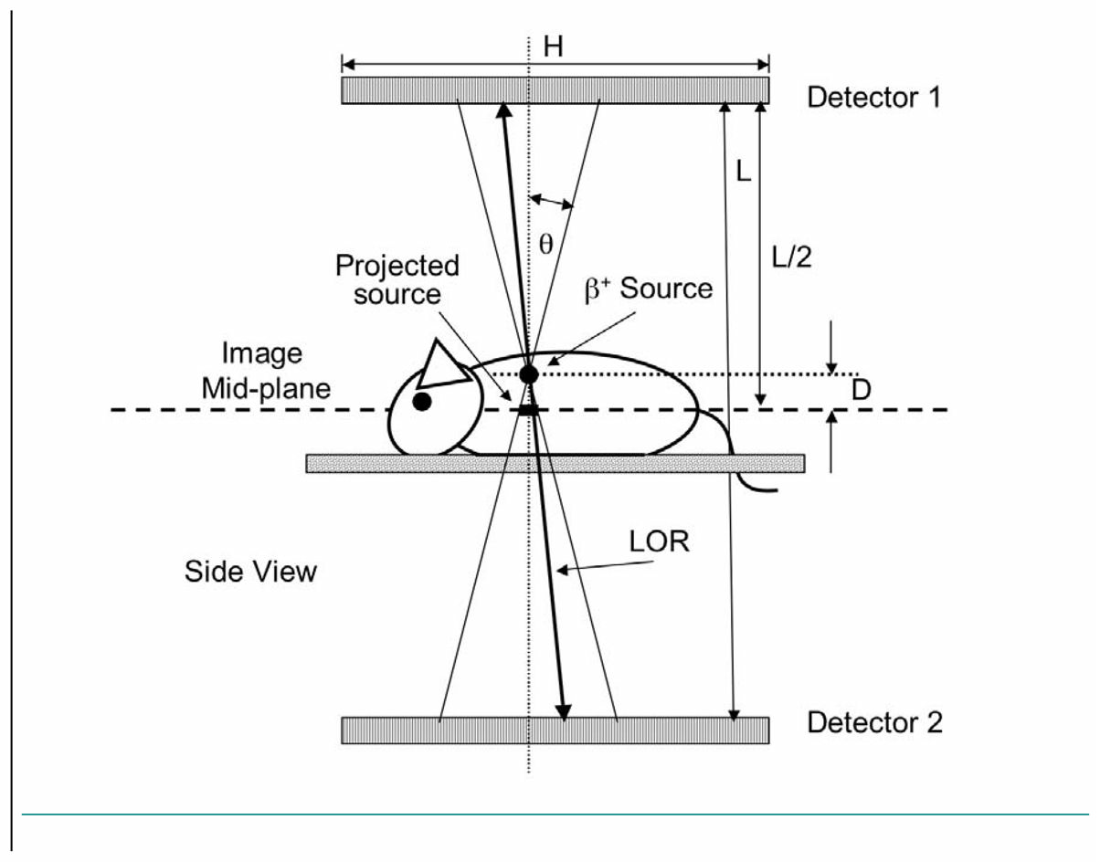 Diagram showing different line-of-responses (LORs) within PPI system