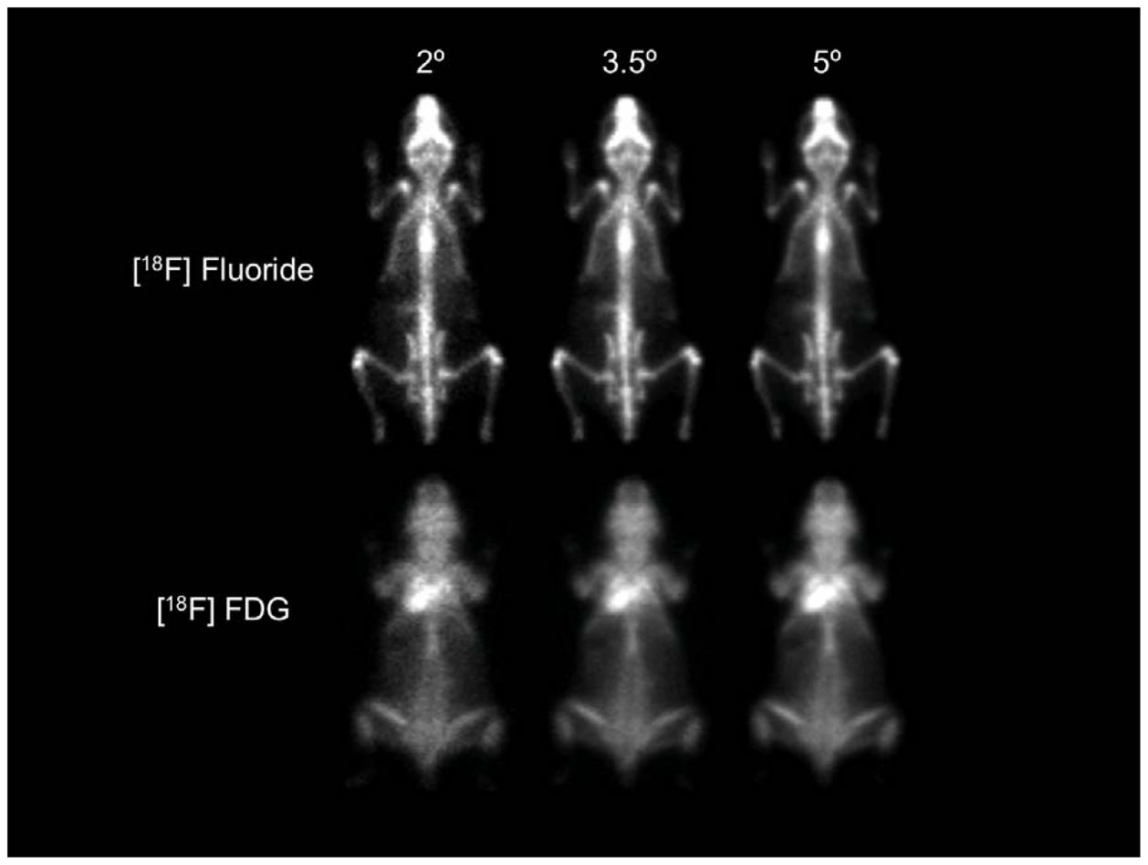 Whole-body mouse images using the Positron Projection Imager