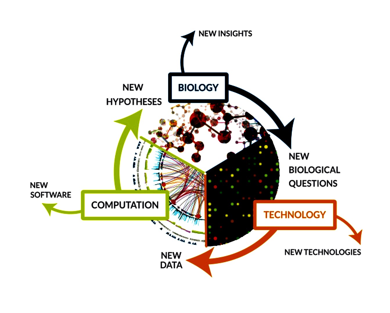 Computer System of Visual Modeling in Design and Research of