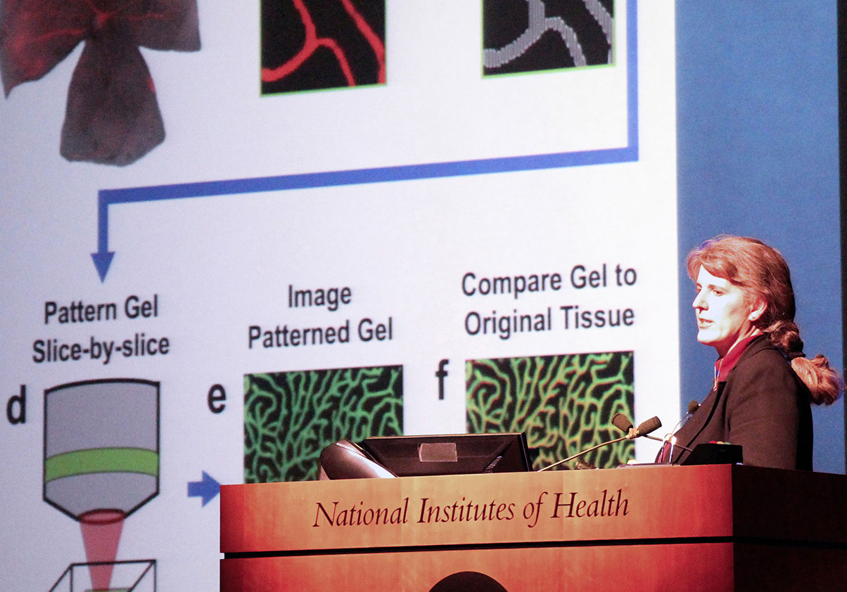 Jennifer West delivers WALS talk