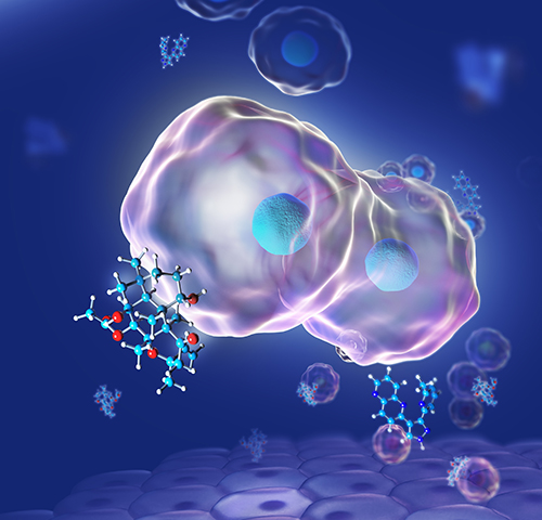 Schematic of stem cells interacting with a small molecule