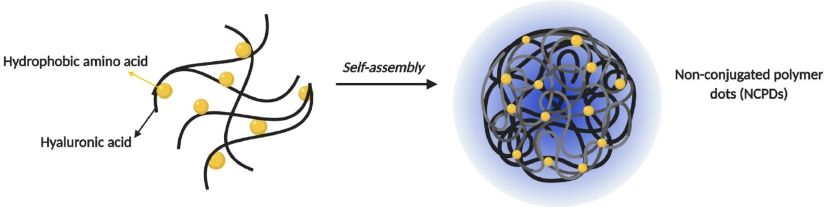 Schematic representing how the fluorescent dots are generated