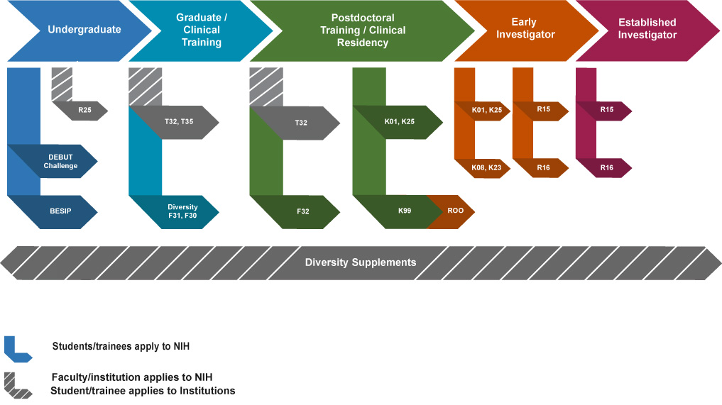 NIBIB Traingng Diagram