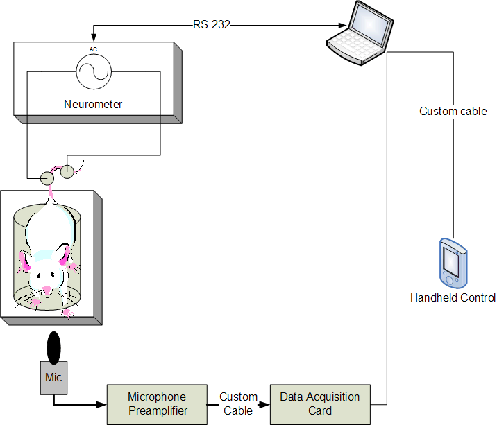 System components of the non-injurious nociception assay