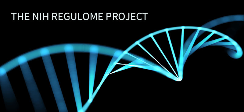 Regulome Project Banner