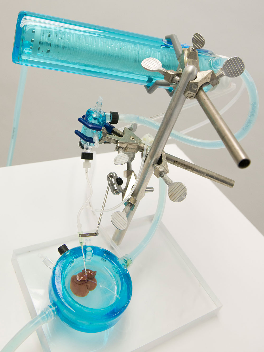 Image of a device with a blue container on top and a small blue dish with a brownish rat liver